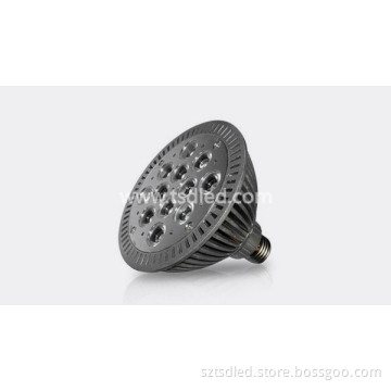 12x1W PAR38 High Power LED Spot Light (TD-PP38*12)